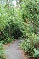 563. gumbo limbo trail